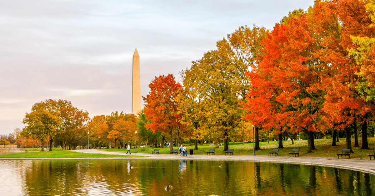 20+ Things to Do This September in Washington, DC Hodge, Hart