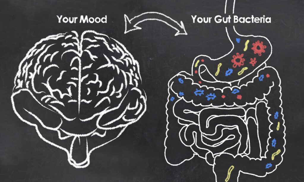 Mood and Gut Bacteria with chalk on Blackboard